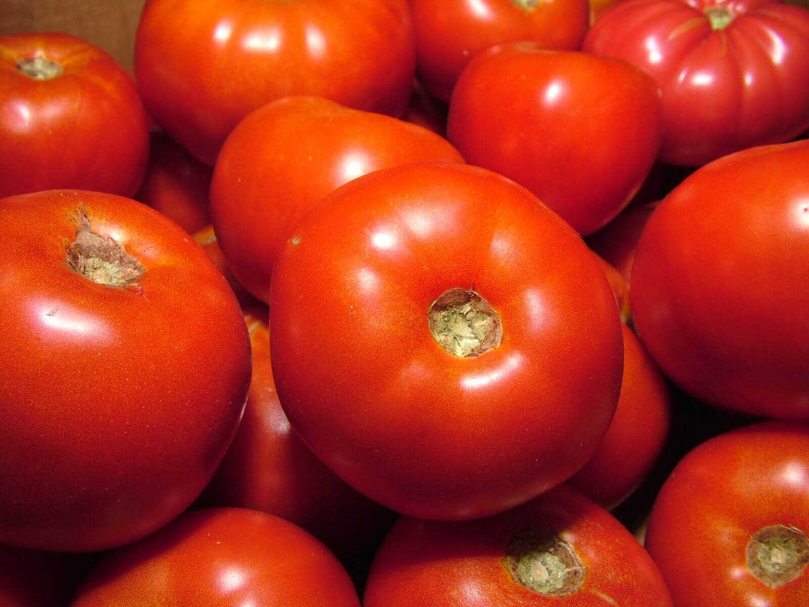 lycopene-tomatoes