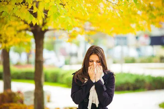 Seasonal Allergy Tips